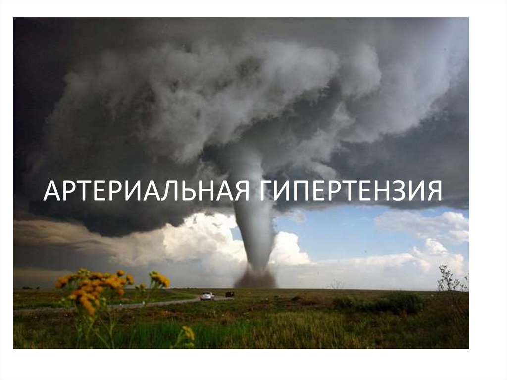 АРТЕРИАЛЬНАЯ ГИПЕРТЕНЗИЯ