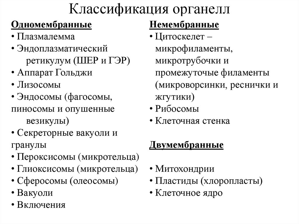 Схема органоиды одномембранные двумембранные немембранные