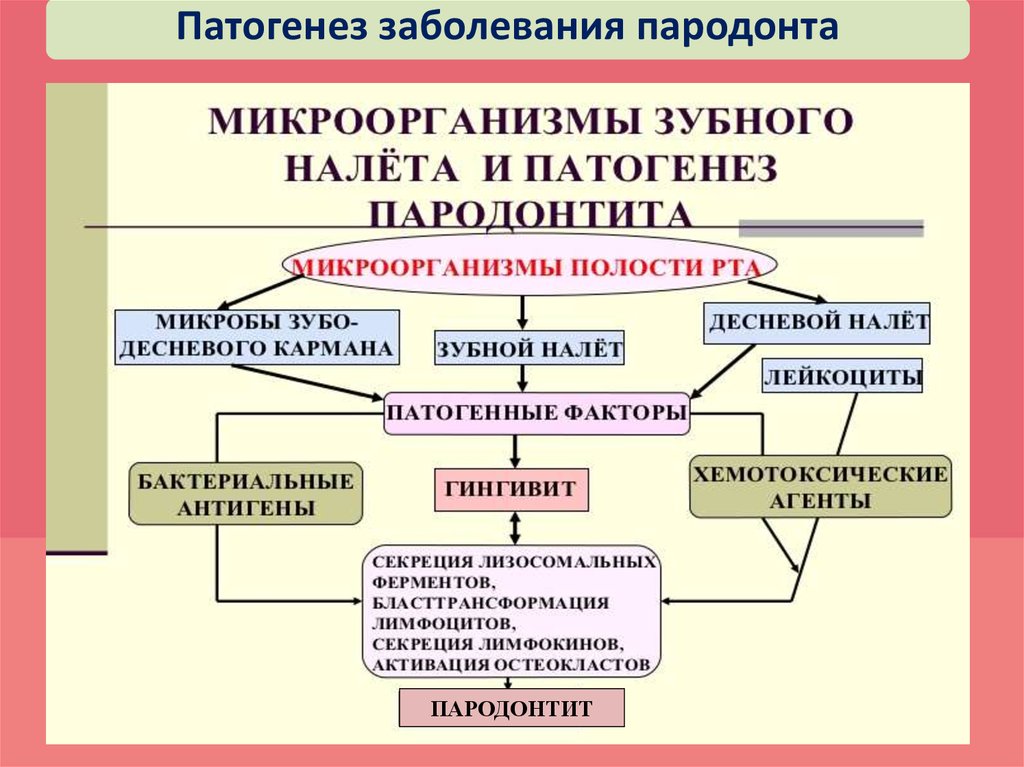 Патогенез нарушений. Патогенез заболевания. Механизм развития заболевания. Механизмы развития инфекции. Рожа этиология патогенез.