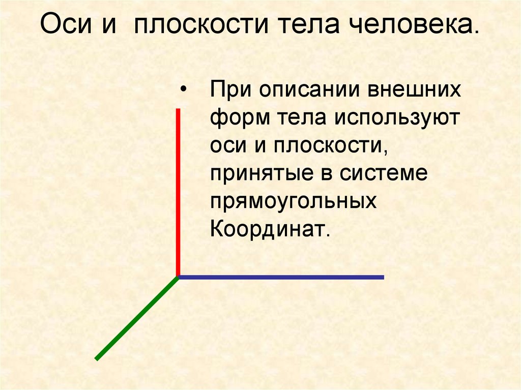 Укажите степень свободы тела на плоскости (цифра)..