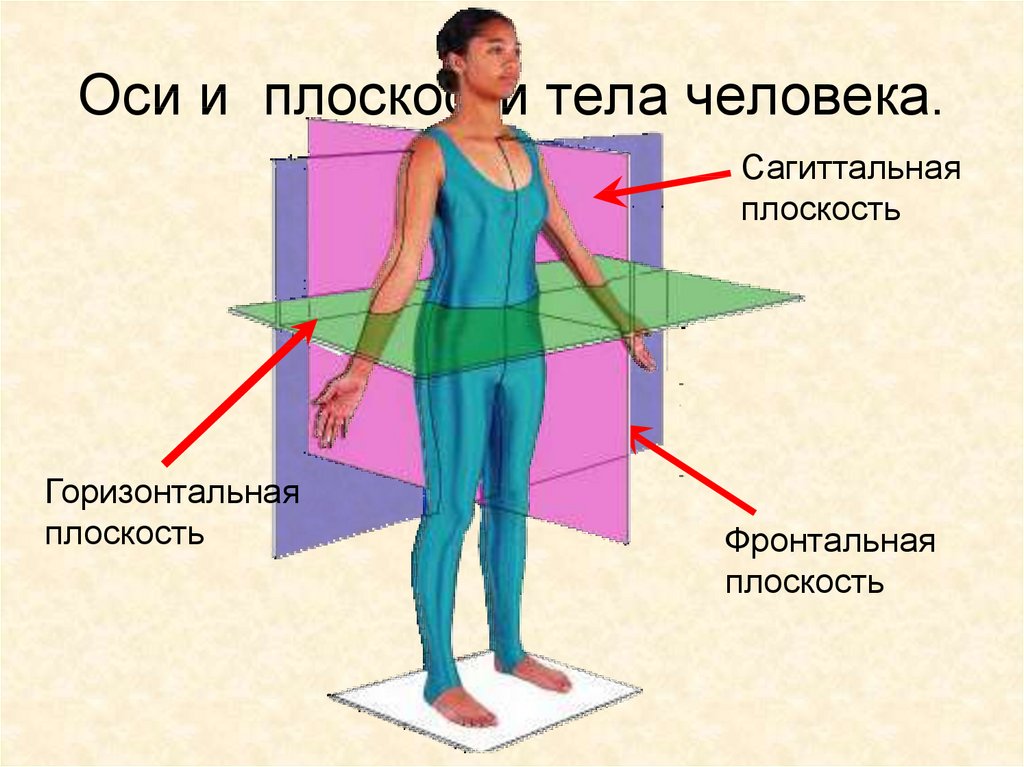 Тело человека на белом фоне