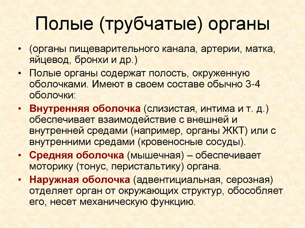 Строение трубчатых органов. Полые трубчатые органы. Трубчатые органы примеры. Строение паренхиматозного и трубчатого органов.