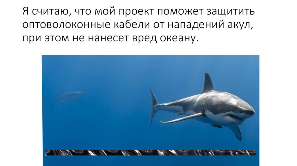 Я считаю, что мой проект поможет защитить оптоволоконные кабели от нападений акул, при этом не нанесет вред океану.
