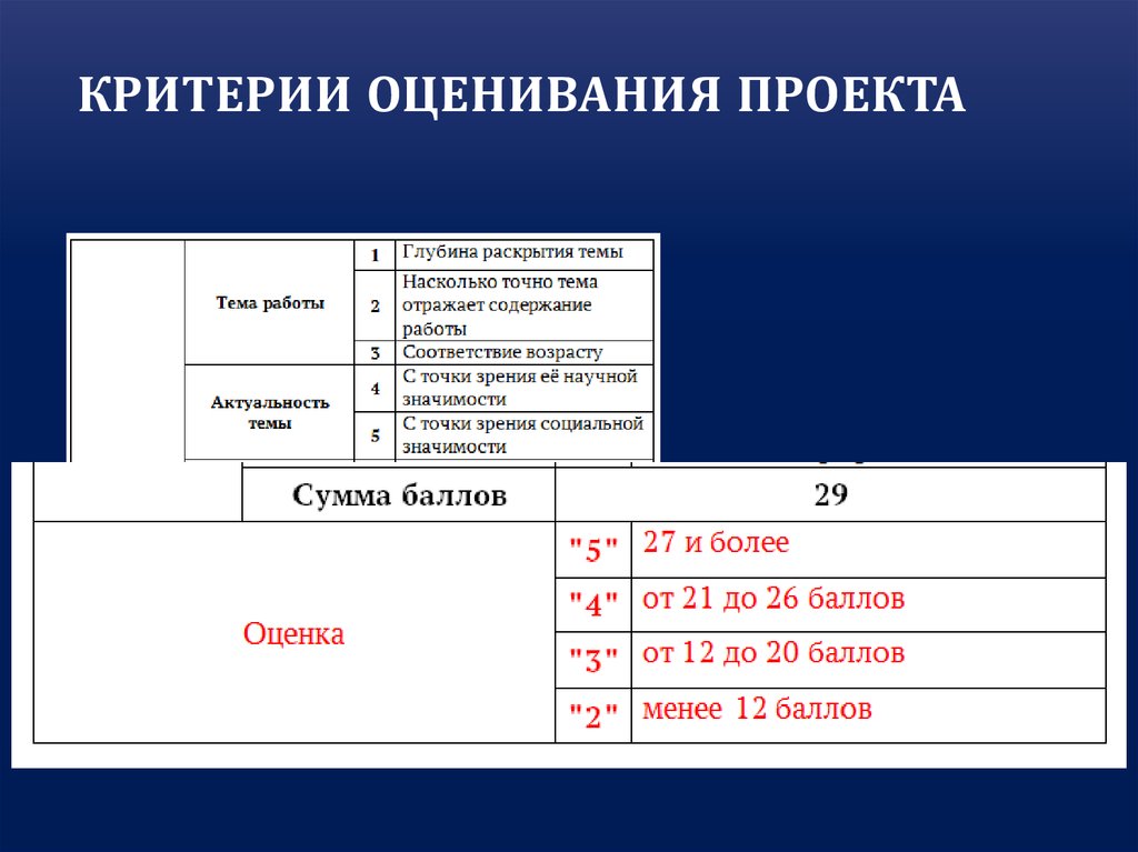 Критерии оценивания бизнес проекта