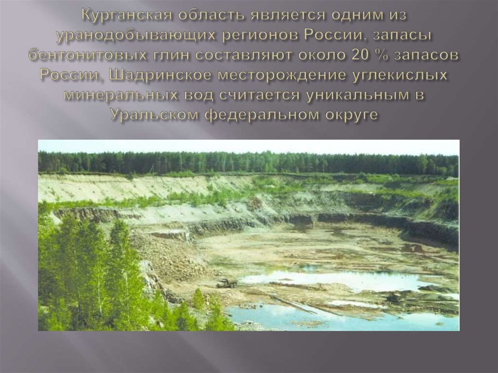 Курганская область является одним из уранодобывающих регионов России, запасы бентонитовых глин составляют около 20 % запасов