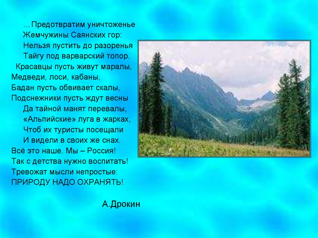 Гора текс. Информация о Саянах. Горы Саяны сообщение. Сообщение о Саянах. Саянские горы текст.