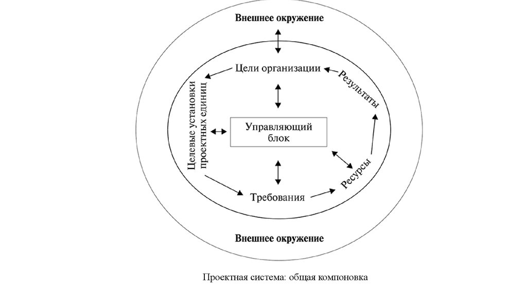 Браузером управляет организация. Модель внешнего окружения. Системная модель проектного управления. Внешнее окружение управления проектами в России. Системный подход в управлении проектами.