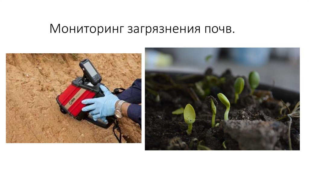 Почвенный мониторинг