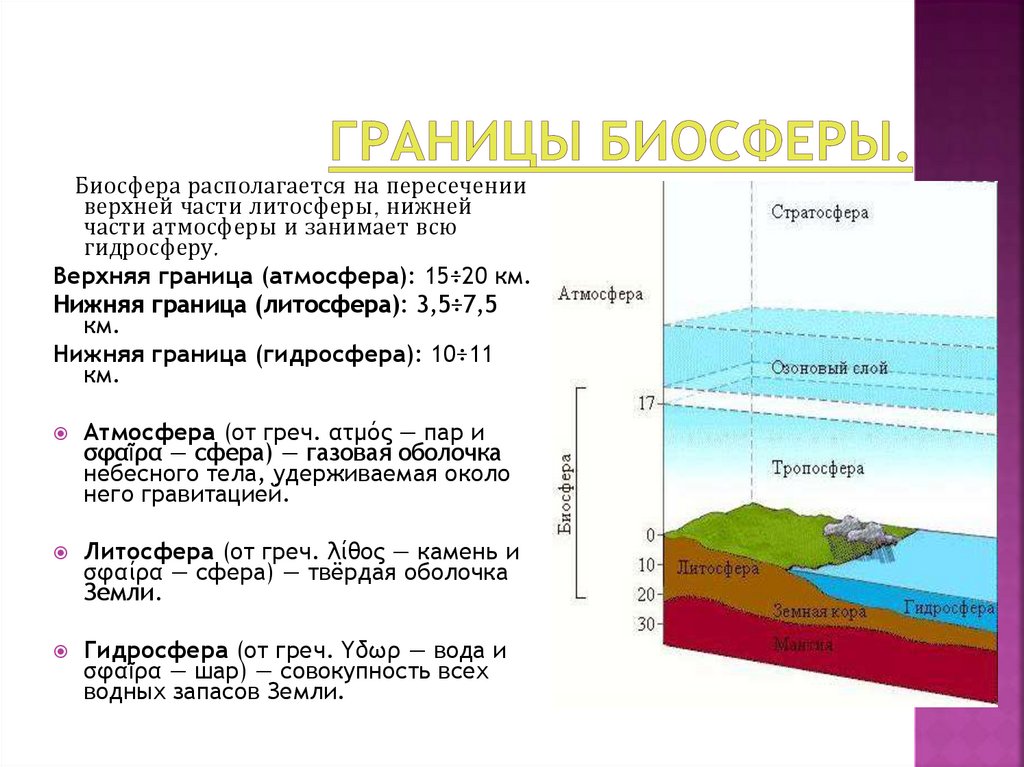 Характерные признаки биосферы земли. Биосфера земли слои. Границы биосферы атмосфера гидросфера литосфера таблица. 5. Биосфера. Структура и границы биосферы.. Границы верхней и нижней границы биосферы.