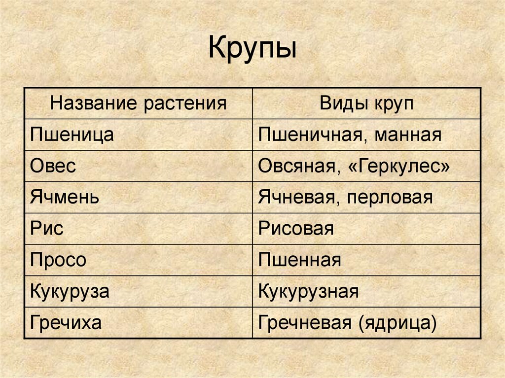 Крупы И Их Фото