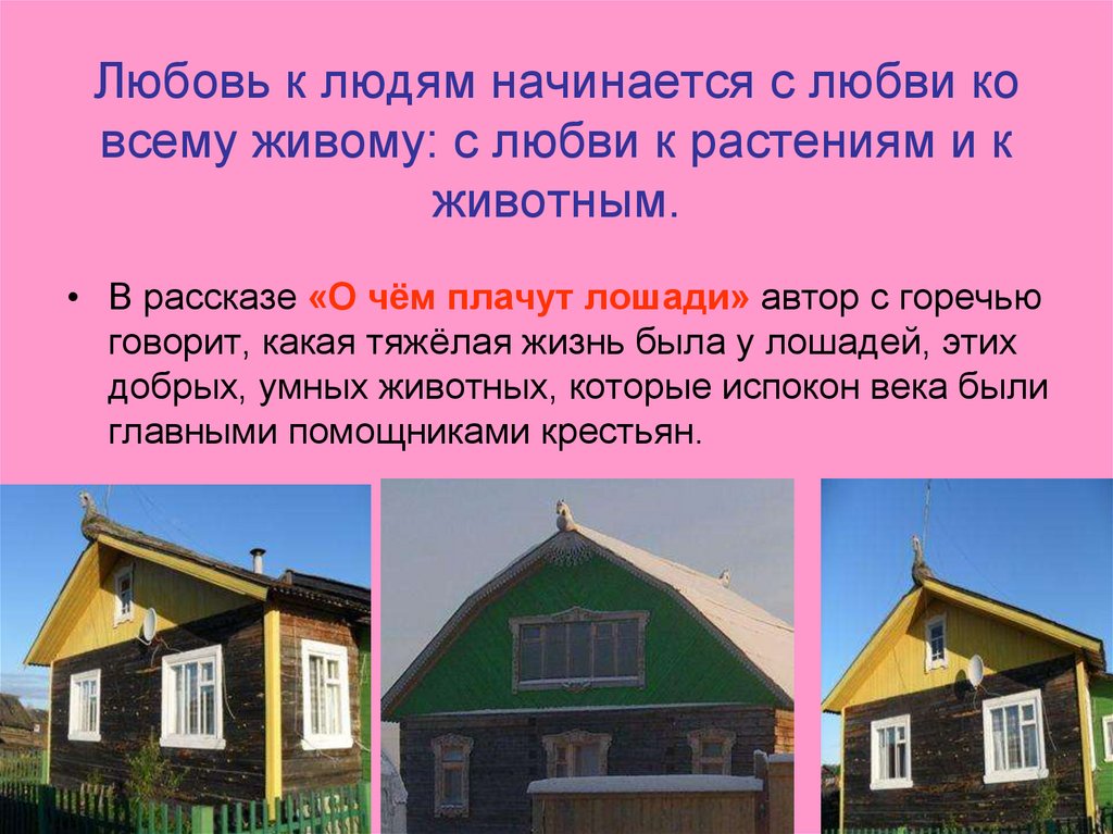 Конспект ф абрамова. Ф А Абрамов о чем плачут лошади конспект урока 7 класс с презентацией.