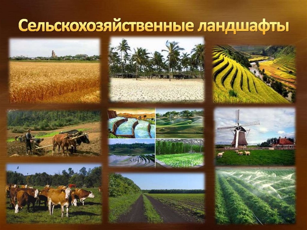 Проект аграрный класс