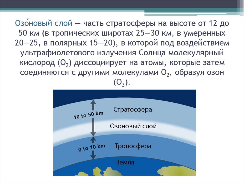 Озо́новый слой — часть стратосферы на высоте от 12 до 50 км (в тропических широтах 25—30 км, в умеренных 20—25, в полярных