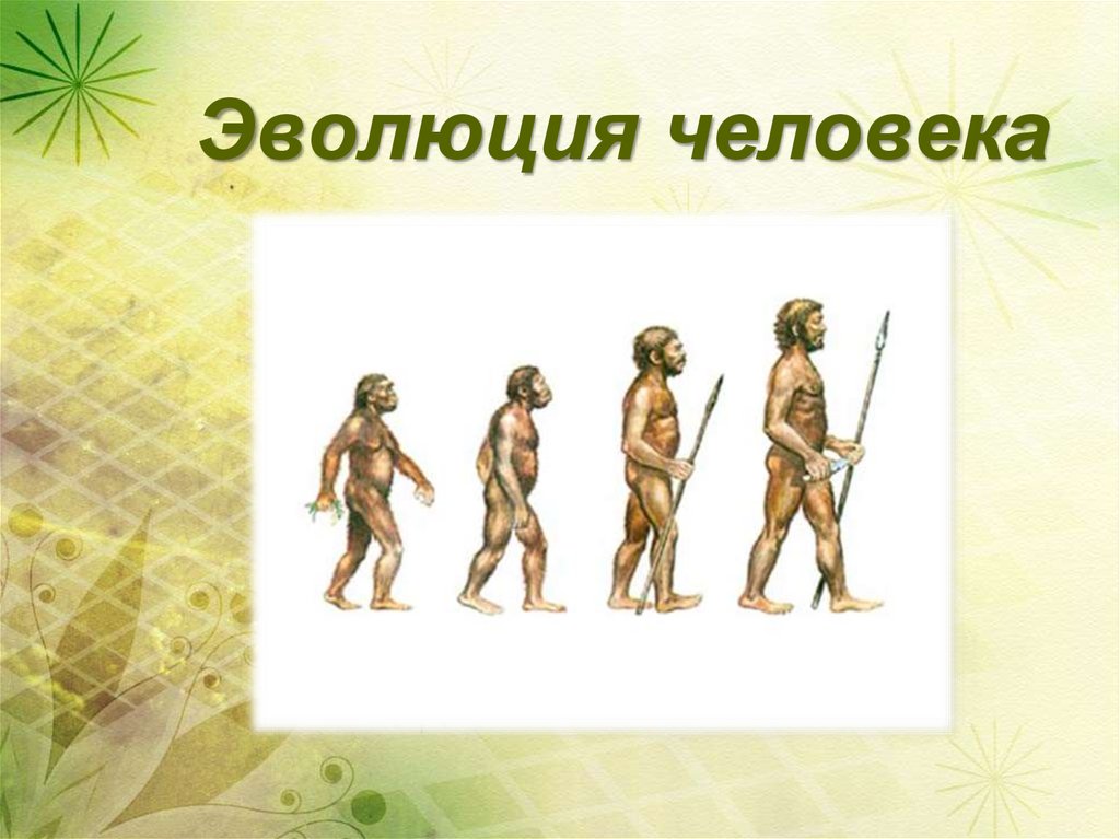 Презентация этапы эволюции человека 9 класс пономарева. Эволюция человека. Эволюция развития человека. Эволюция человека презентация. Эволюция человека слайд.