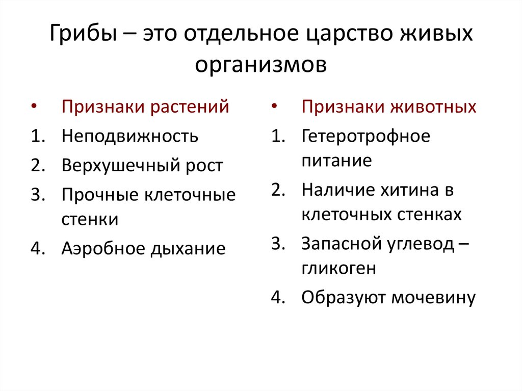 Плечом дышащий огэ. Признаки царства грибы. Грибы отдельное царство.