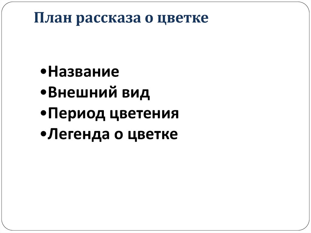 План рассказа новые соседи