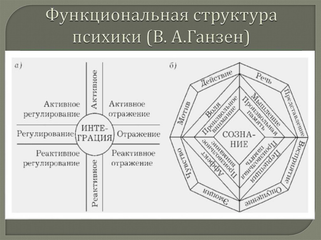 Структура психики человека схема