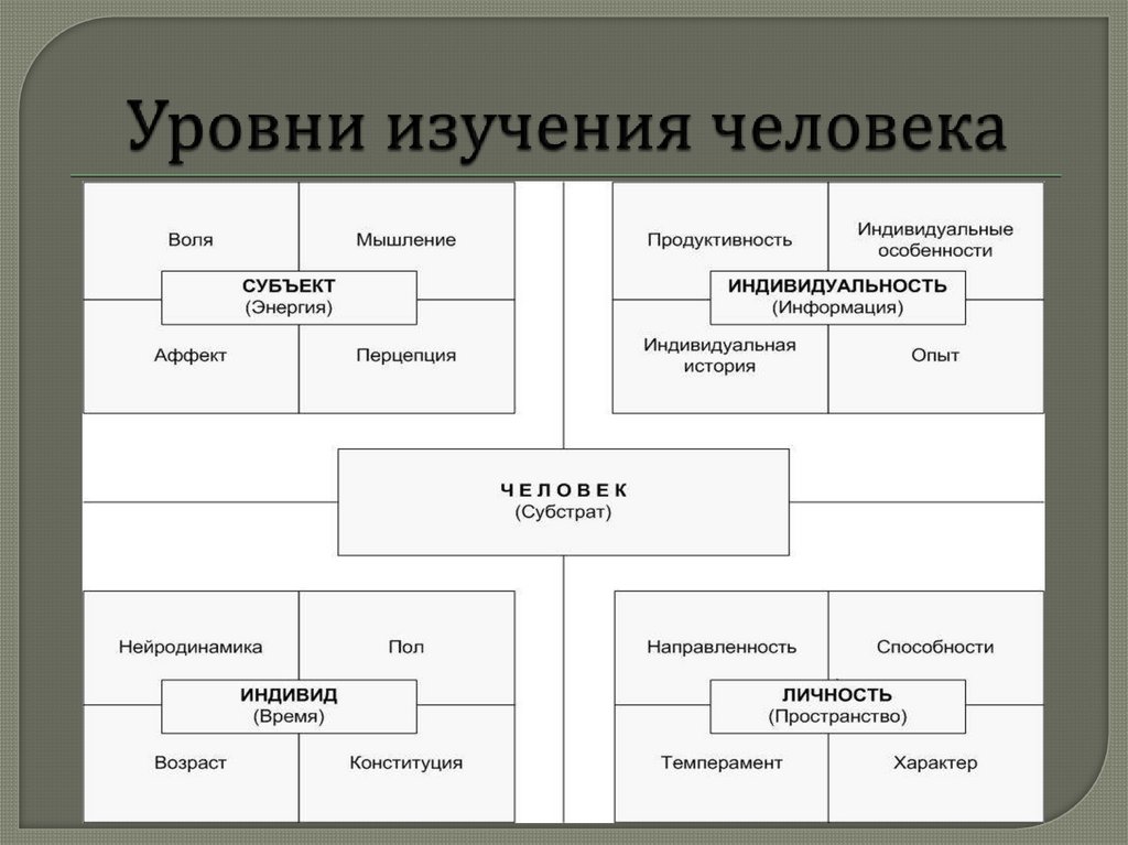 Пол индивида. Уровни изучения человека. Уровни психологического изучения человека. Концепция уровней исследования человека и его психики. Показатели изучения психологии.