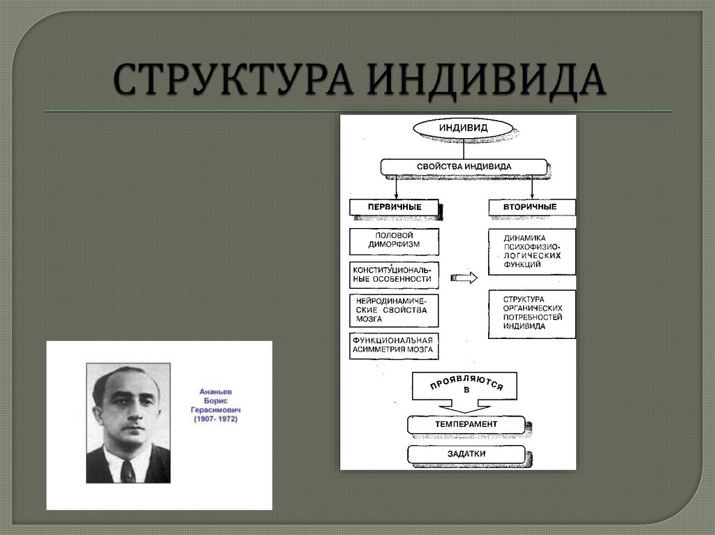 Индивид структура. Структура понятия «индивид» (по б. г. Ананьеву). Структура индивида схема. Первичные и вторичные свойства индивида. Структура индивида в психологии.