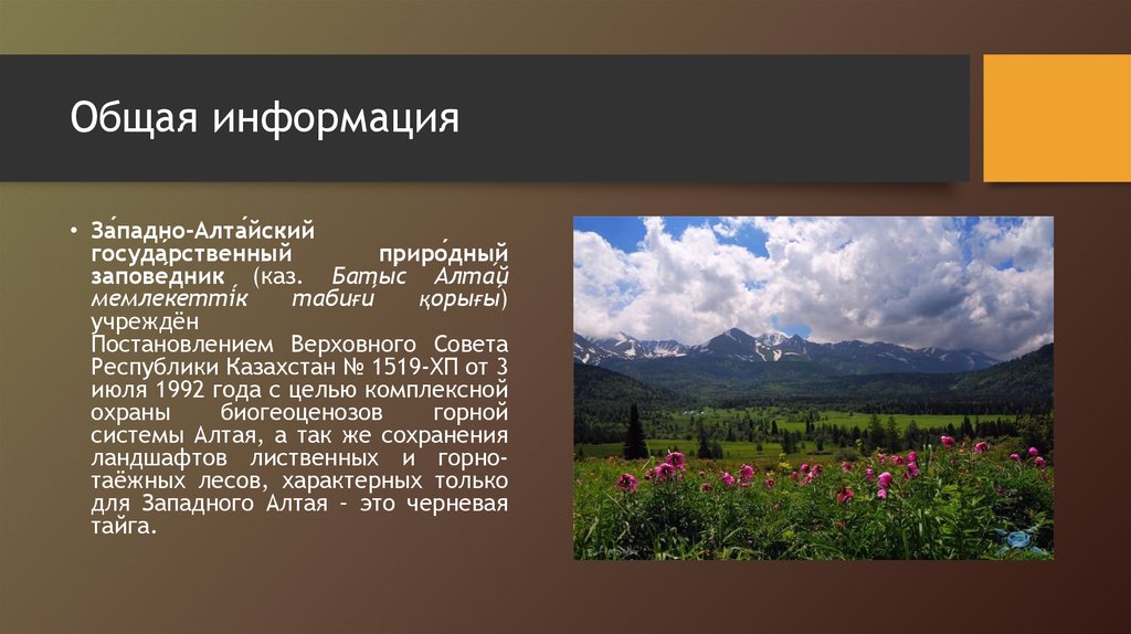 Алтайский заповедник презентация. Западно Алтайский заповедник презентация. Алтайский государственный заповедник сообщение. Алтайский государственный заповедник презентация. Заповедники Казахстана краткая информация.