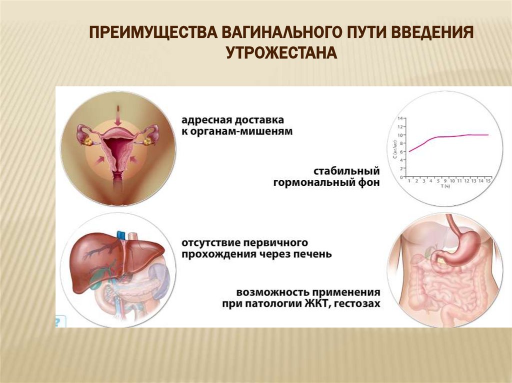 Ведение беременных в женской консультации - презентацияонлайн