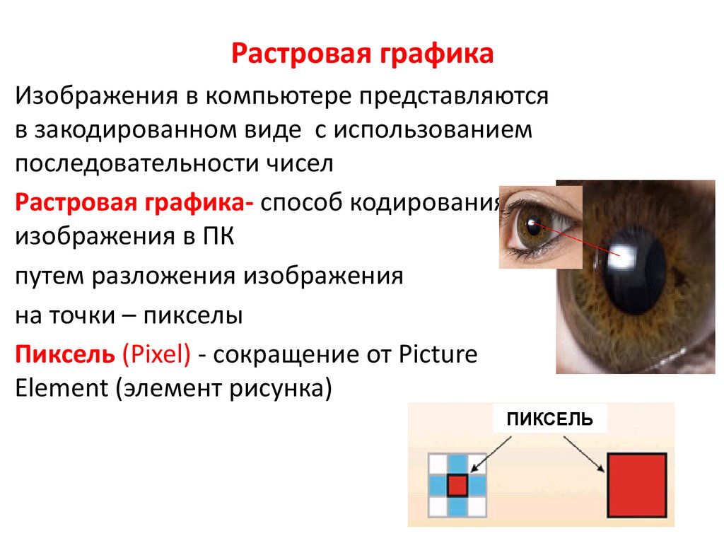 Растровое изображение определение. Растровая Графика. Основы растровой графики. Основа растрового изображения. Виды растровой графики.