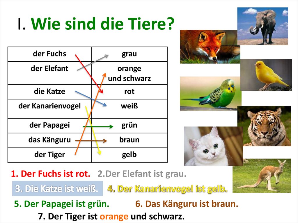 Wie sind die Tiere?  презентация онлайн