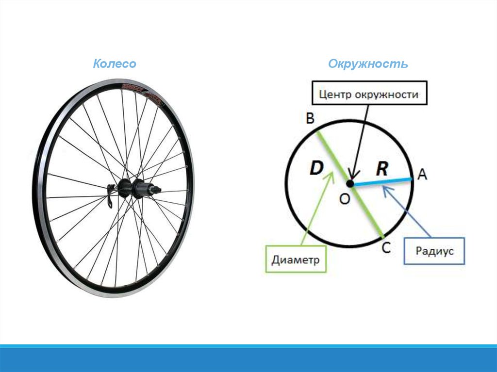 Колесо круг или окружность. Длина окружности руля. Чем отличается диаметр от окружности. Длина окружности колеса мотоцикла. Отношение длины окружности к диаметру.