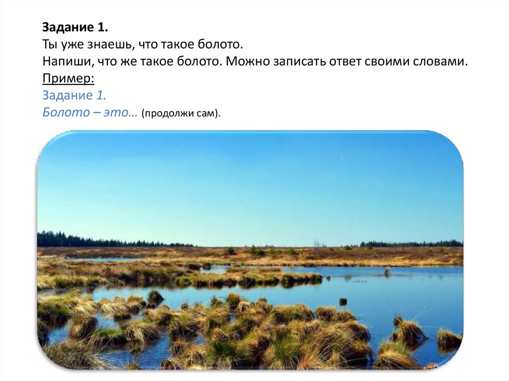 Составляющая болотной. Болота Псковской области. Задания про болота. Что такое болото своими словами. Предложение про болото.