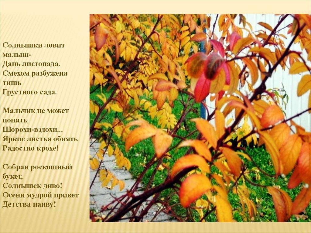 Произведение пастернака золотая осень