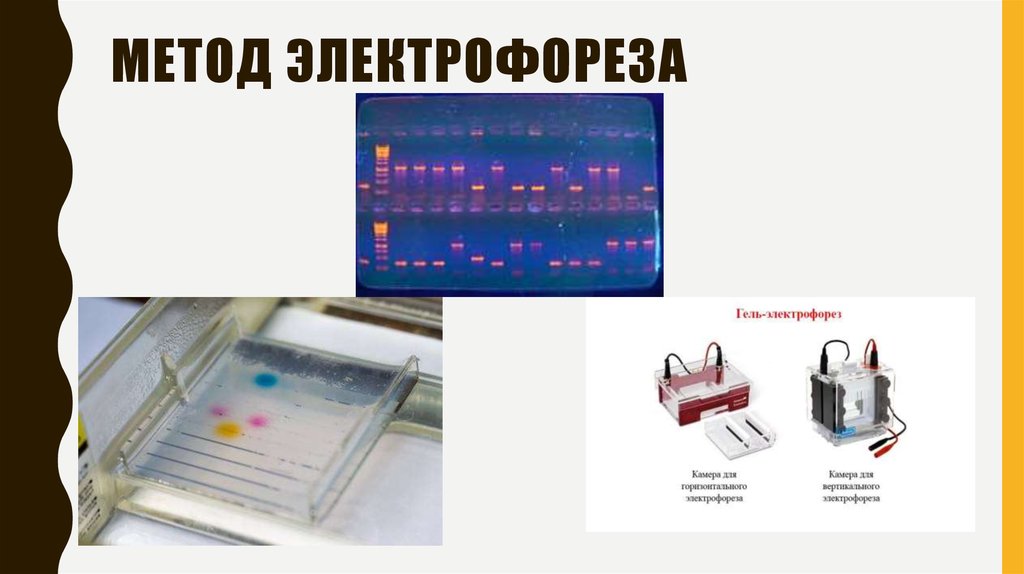 Электрофорез карта осу