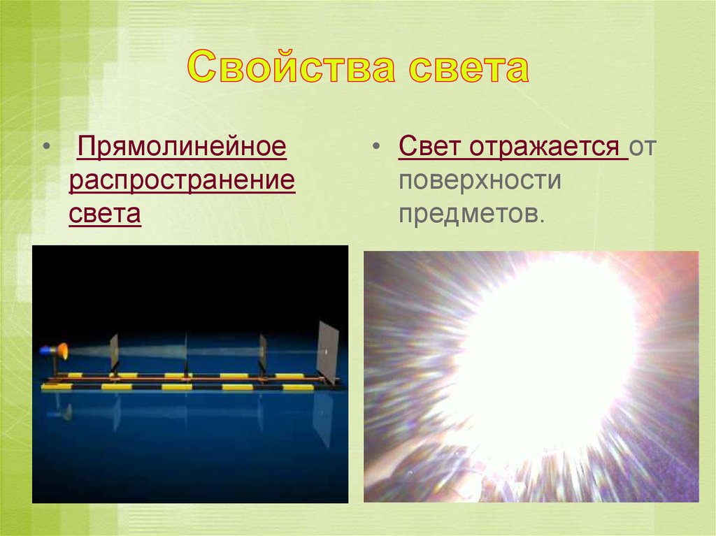 Б ф билимовича световые явления вокруг нас. Световые явления в живой природе. Свойство прямолинейного распространения света. Распространение света в природе. Свойства световых явлений.