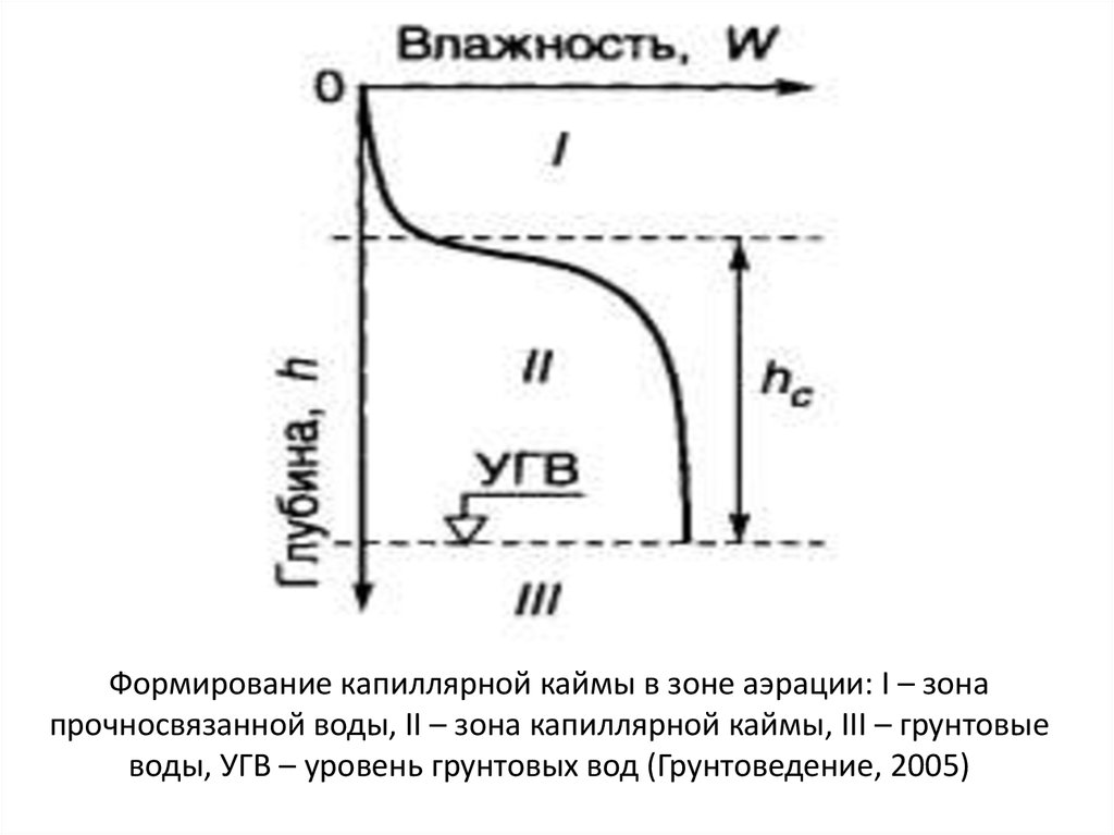 Формирование капиллярной каймы в зоне аэрации: I – зона прочносвязанной воды, II – зона капиллярной каймы, III – грунтовые