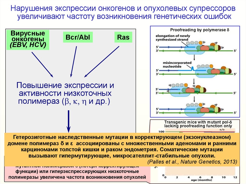 Нарушение экспрессивной