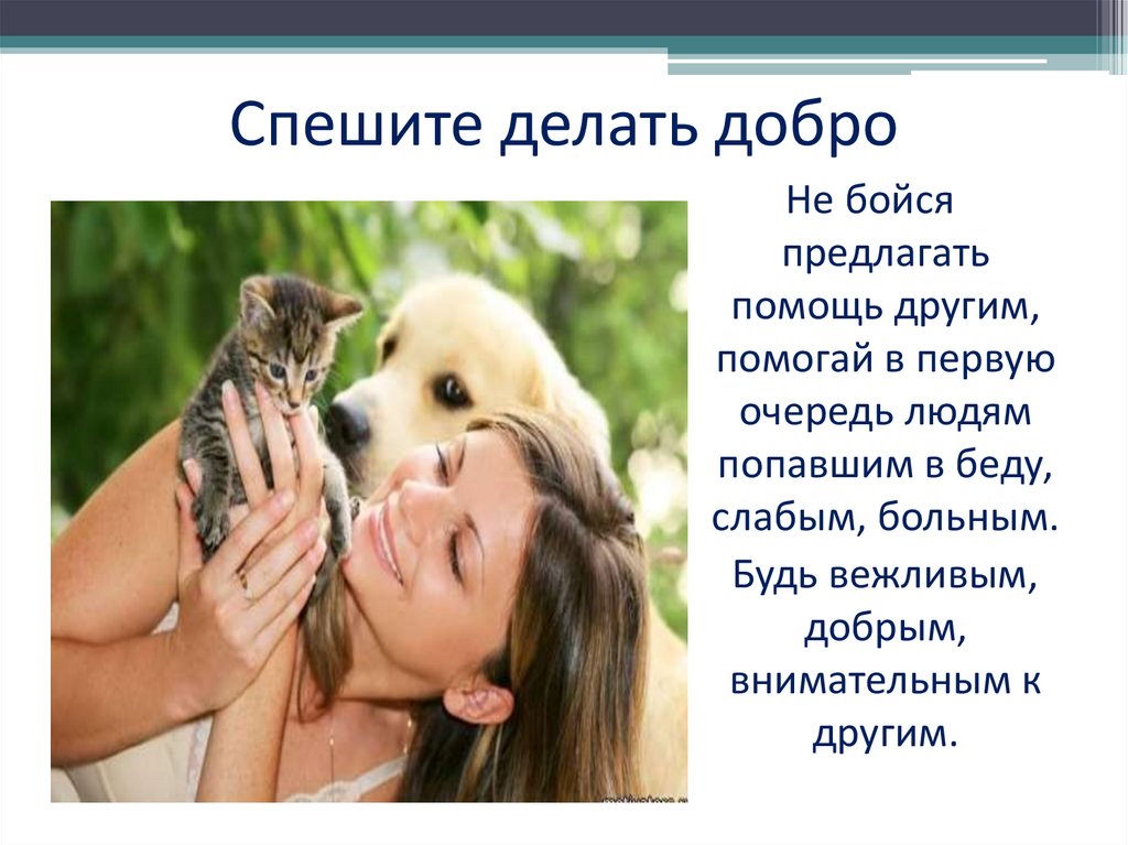 Рассказ о заботе о человеке. Спеши делать добро. Спешите делать добро презентация. С любовью к животным презентация. Доброта картинки.