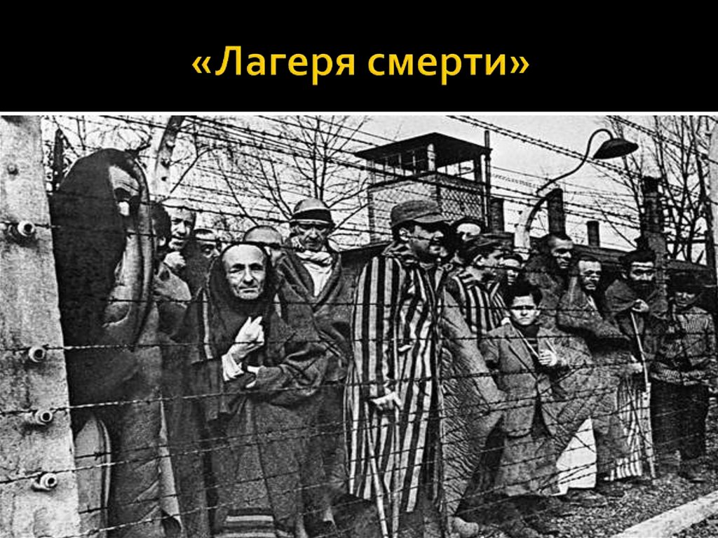 Самые страшные лагеря смерти