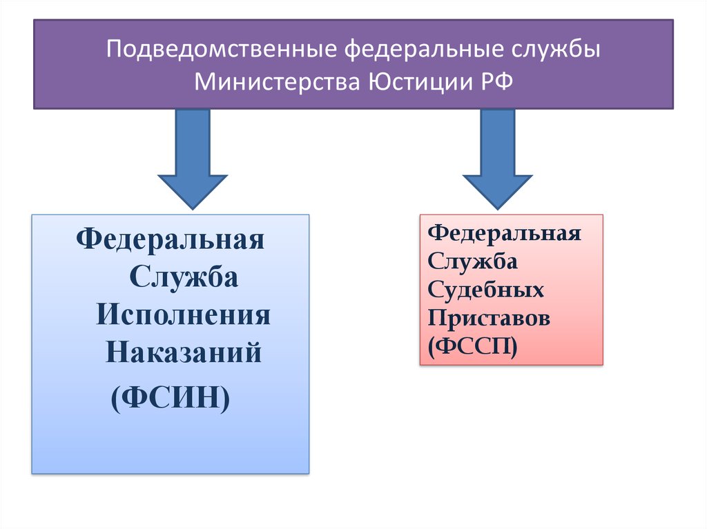 Подведомственные федеральные службы Министерства Юстиции РФ