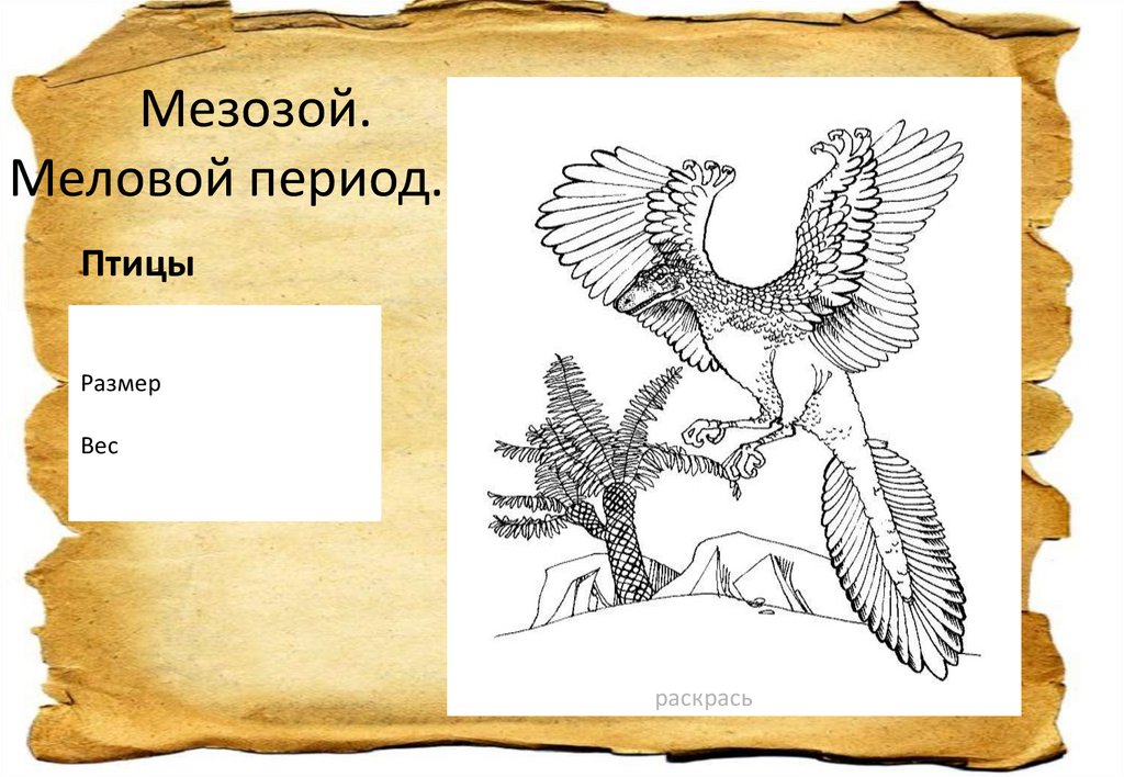 Мезозой. Меловой период.