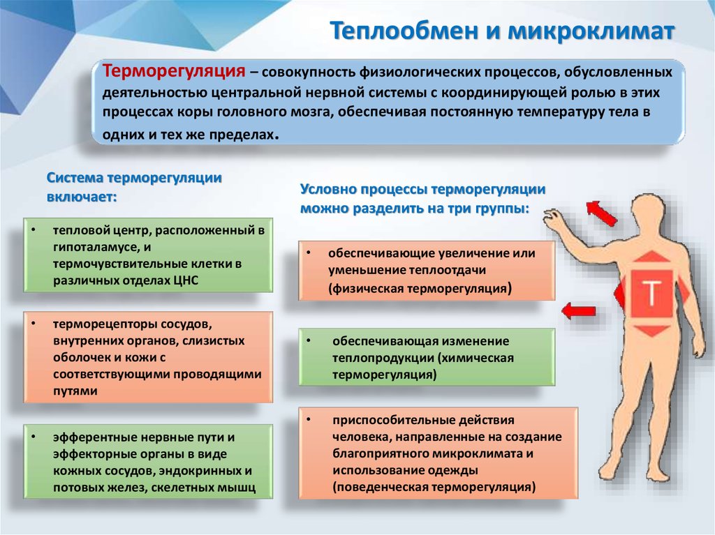 Микроклимат обеспечивают. Факторы микроклимата. Классификация производственного микроклимата. Факторы влияющие на микроклимат. Факторы составляющие микроклимат.