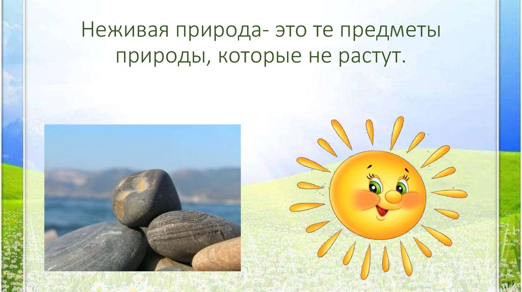 Живая и неживая природа единое