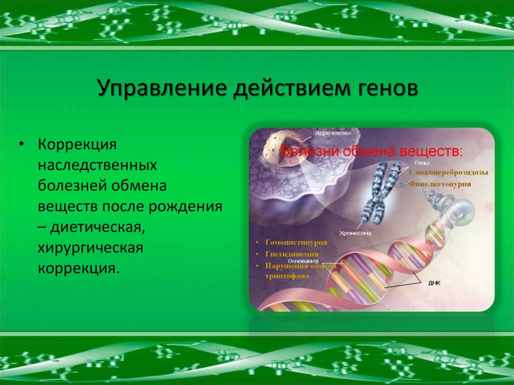 Болезни обмена веществ. Управление действием генов. Наследственные болезни обмена веществ. Коррекция наследственных заболеваний. Коррекция наследственных патологий.