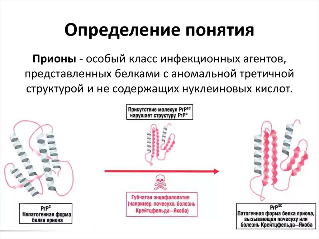 Прионы микробиология презентация