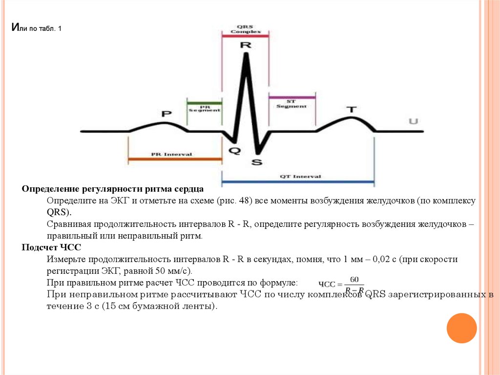 Возбуждение определение. Определение ритма сердца по ЭКГ. Как определить ритм на ЭКГ. Как определить ритм сердца по ЭКГ. Определение ритма сердца на ЭКГ.