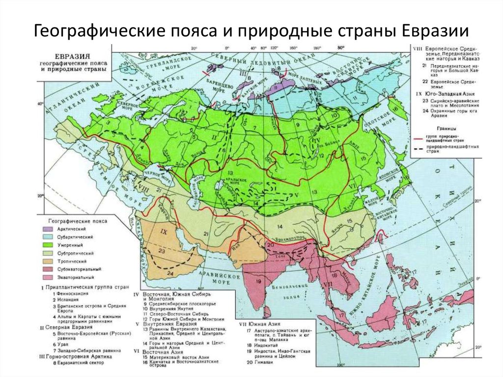 Географические пояса и природные страны Евразии