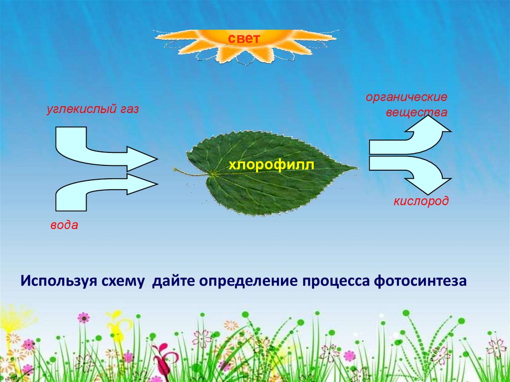 Биология 6 класс воздушное питание растений фотосинтез