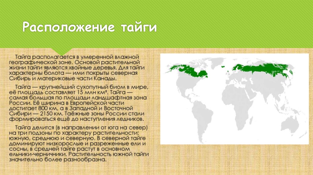 Страны зоны тайги. Географическое положение тайги в России на карте. Географическое расположение тайги. Расположение зоны тайги. Географическое положение тайги на карте.