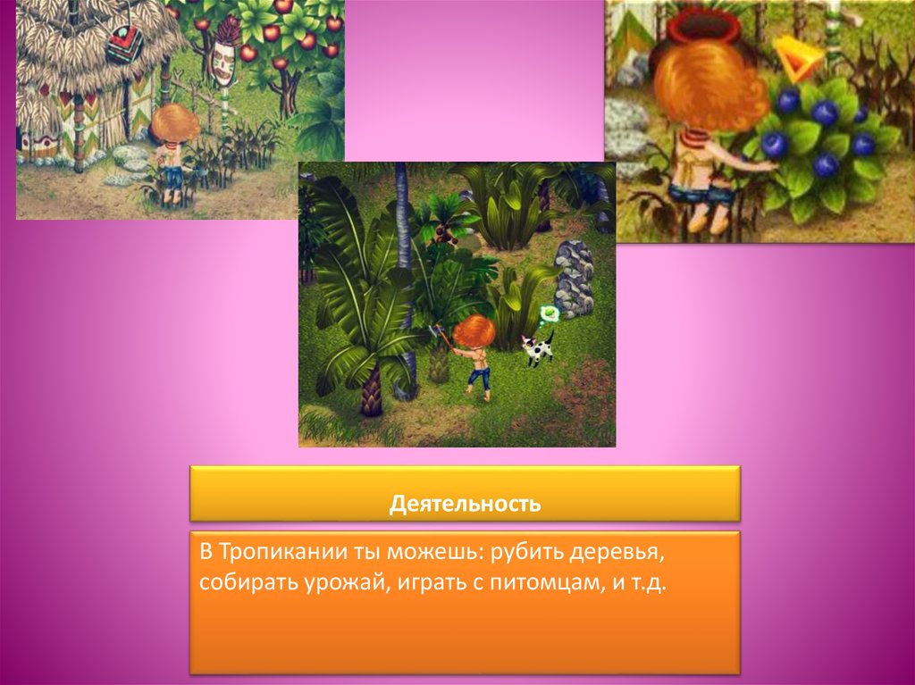 Деятельность