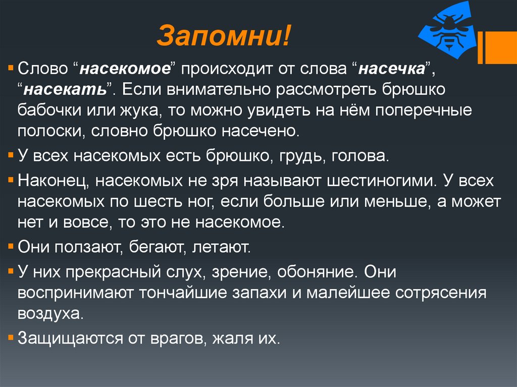 Название происходит от слова. Значение слова насекомые. От какого слова произошло слово насекомые. Происхождение термина насекомые. Происхождение слова насекомое.