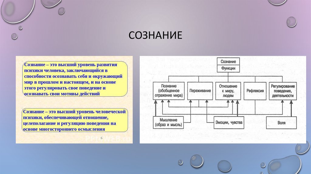 Сознание и воля