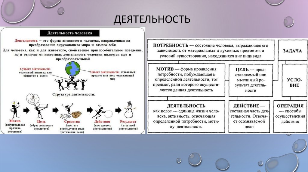 ДЕЯТЕЛЬНОСТЬ